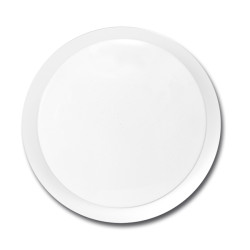 WS009-18W/LED SATURN