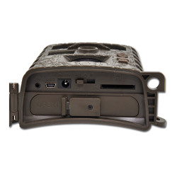 XSL1008 Fotopast Crown