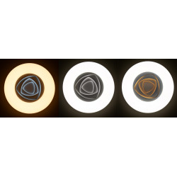 WCL01R-80W/LED DONUT