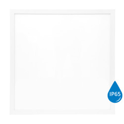 LED-GPL44-40/BI/IP65 ZEUS